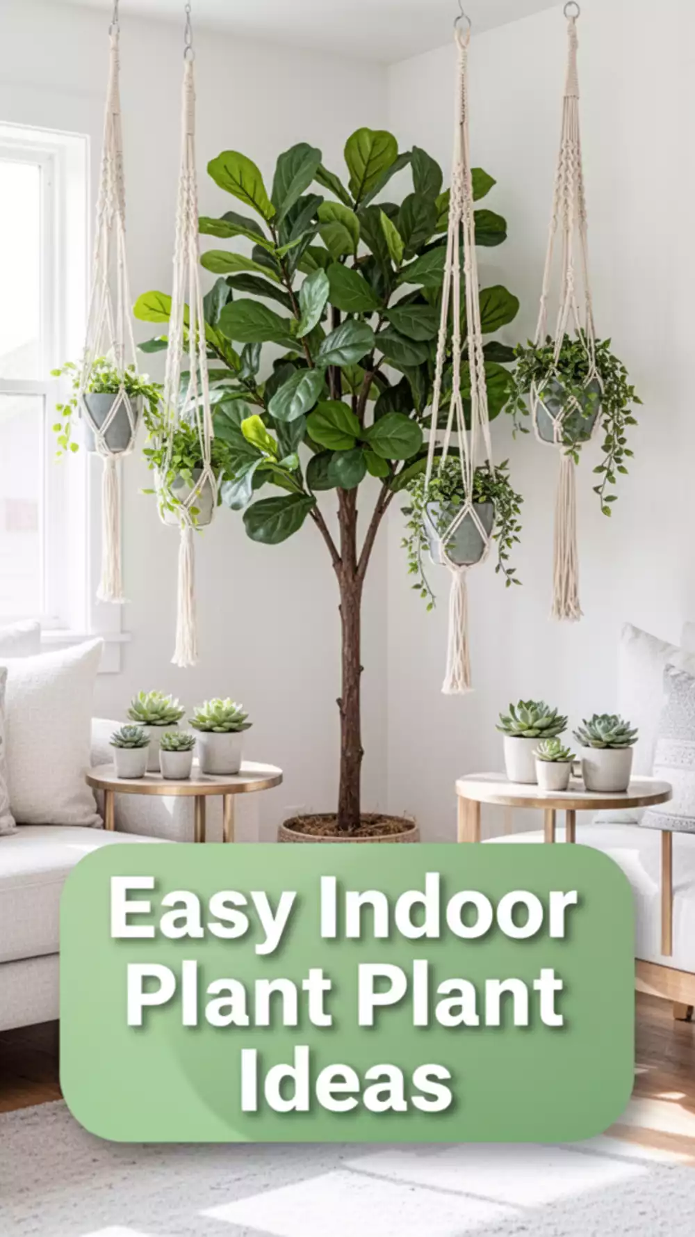 Indoor Plants for a Cozy Living Room: Easy Ways to Add Greenery